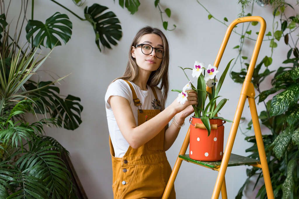 ideias para jardim pequeno